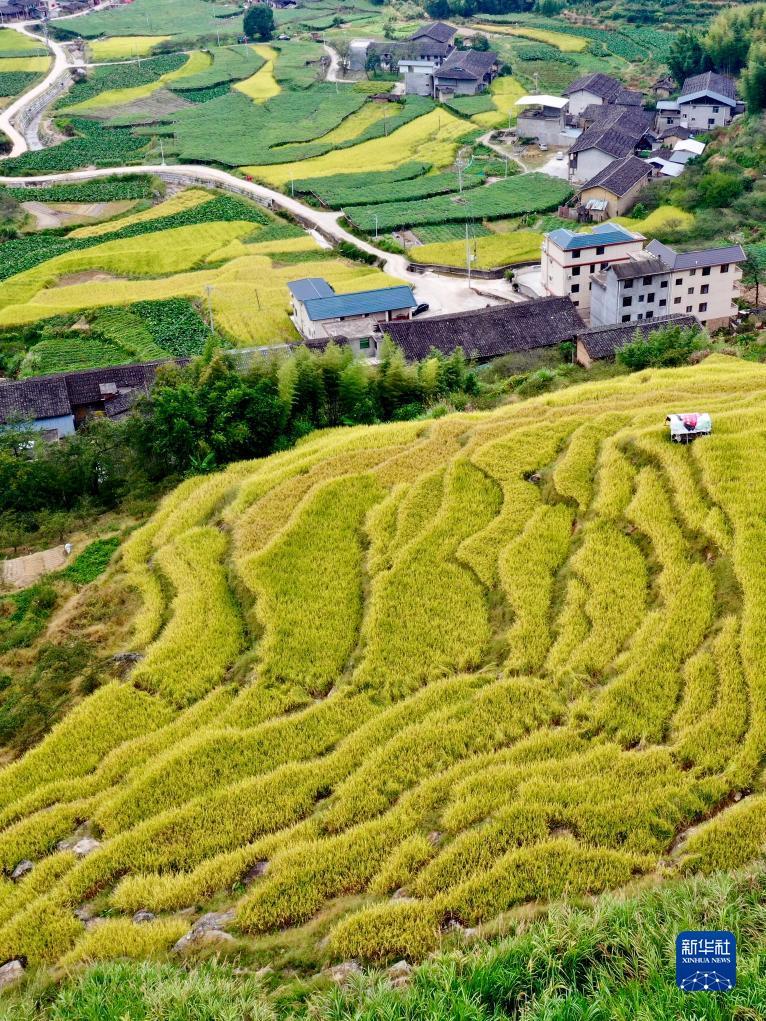 中国赌城